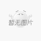 SCD斷鏈保護(hù)器(失速開(kāi)關(guān)) SCD斷鏈保護(hù)器(失速開(kāi)關(guān))